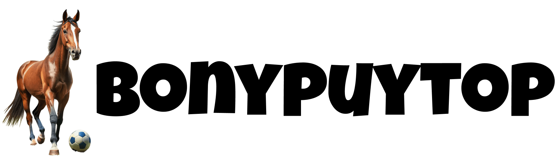 BONYPUYTOP Logo